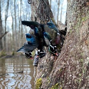 Meet your Posher, Ethan